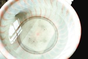 疫苗事件背后：您是否想過除甲醛產品也存在無效情況？
