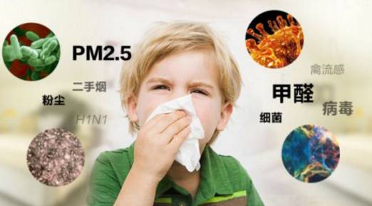 想要除甲醛是好，但是不要踩進這些誤區了
