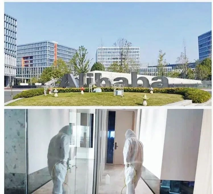 吾志所向，一往無前 | 創綠家2020年大事記