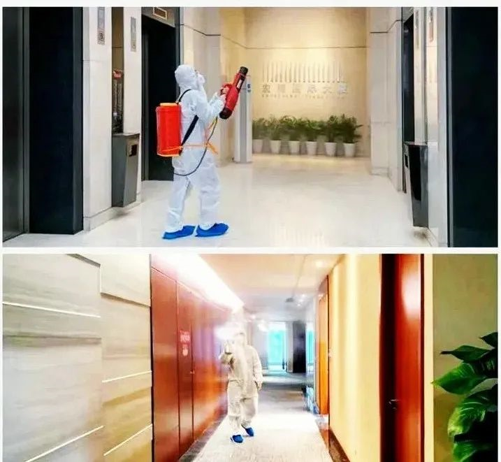 吾志所向，一往無前 | 創綠家2020年大事記