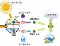 什么甲醛治理辦法效果好持續時間長？
