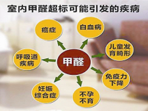 室內(nèi)除甲醛是什么？專(zhuān)業(yè)除甲醛是什么樣的