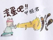 除甲醛公司哪家好？如何選擇一家專業的除甲醛公司