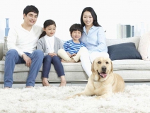 家里甲醛超標怎么辦，受污染影響的人群有哪些