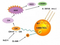 現(xiàn)在光觸媒的價(jià)格是多少？